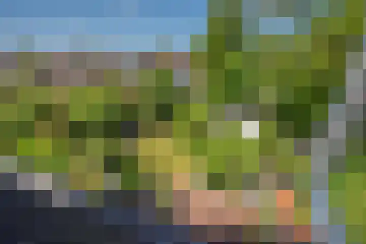 Van Gaalenlaan 4 Delft thumbnail 60