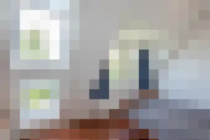 Van Gaalenlaan 4 Delft thumbnail 61