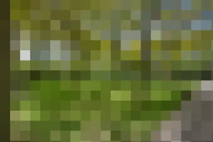 Van Gaalenlaan 4 Delft thumbnail 64