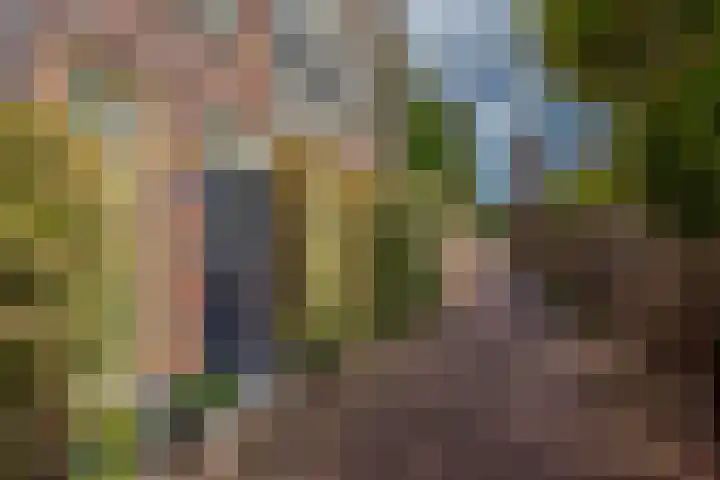Van Gaalenlaan 4 Delft thumbnail 7