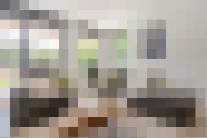 Van Gaesbeekstraat 29 Strijen thumbnail 12