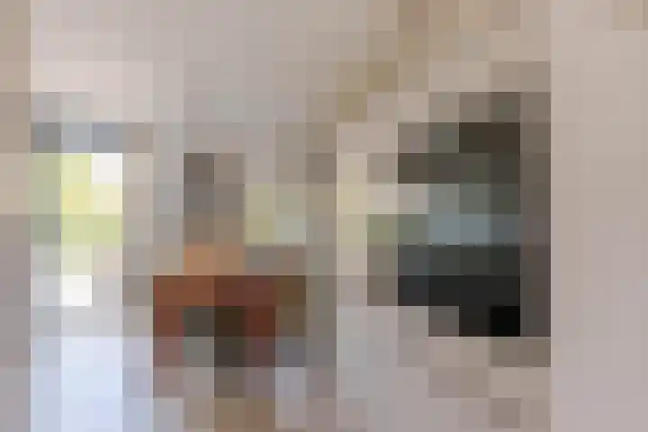 Van Gaesbeekstraat 29 Strijen thumbnail 17