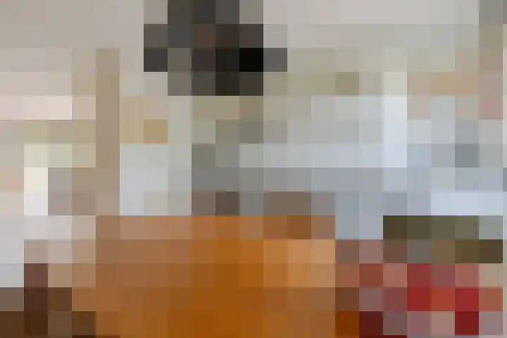 Van Gaesbeekstraat 29 Strijen thumbnail 19