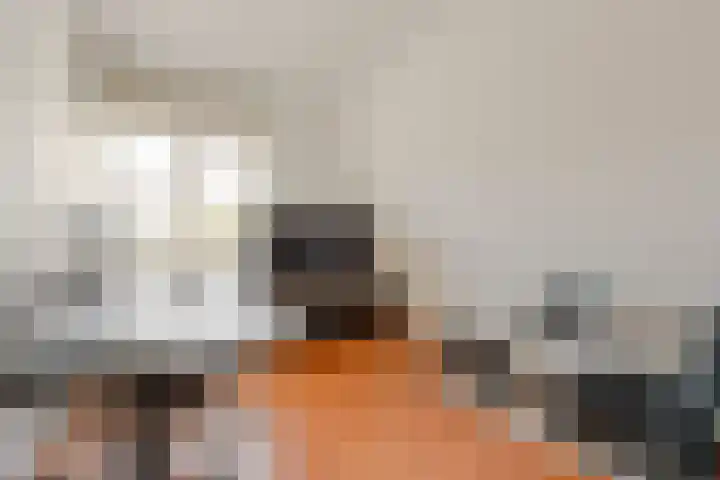 Van Gaesbeekstraat 29 Strijen thumbnail 21