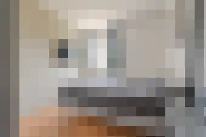 Van Gaesbeekstraat 29 Strijen thumbnail 23
