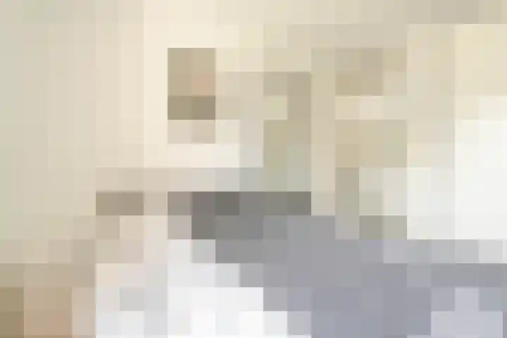 Van Gaesbeekstraat 29 Strijen thumbnail 24