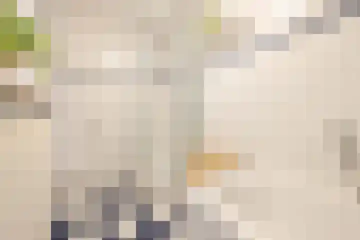 Van Gaesbeekstraat 29 Strijen thumbnail 25