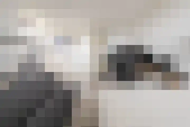 Van Gaesbeekstraat 29 Strijen thumbnail 32