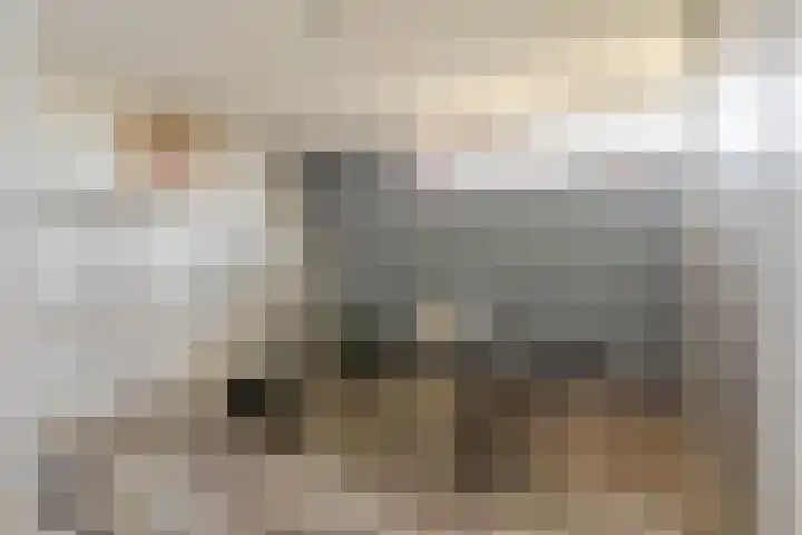Van Gaesbeekstraat 29 Strijen thumbnail 34