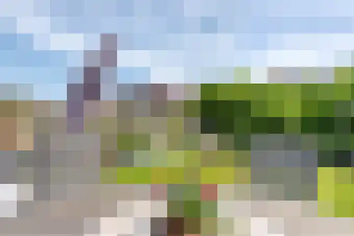 Van Gaesbeekstraat 29 Strijen thumbnail 35