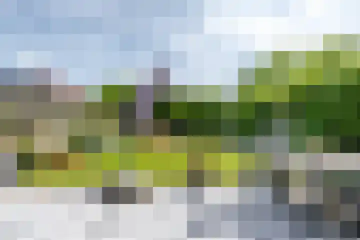 Van Gaesbeekstraat 29 Strijen thumbnail 36