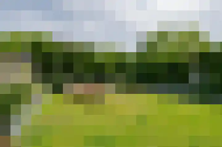 Van Gaesbeekstraat 29 Strijen thumbnail 37