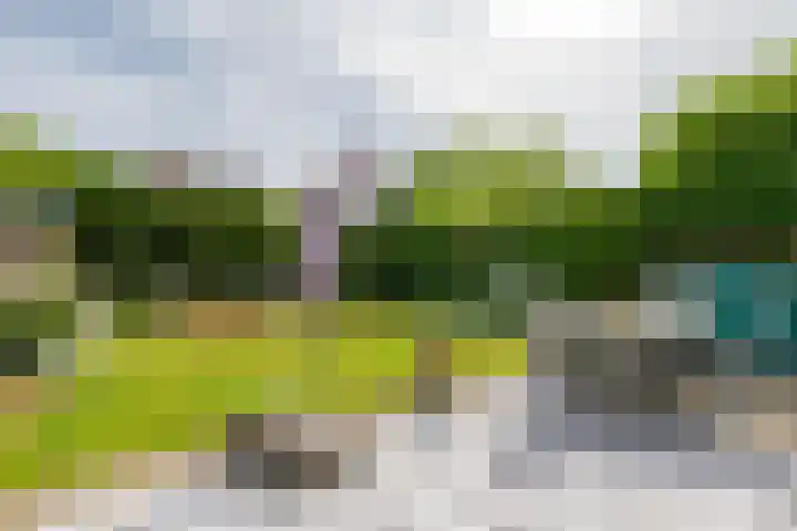 Van Gaesbeekstraat 29 Strijen thumbnail 38