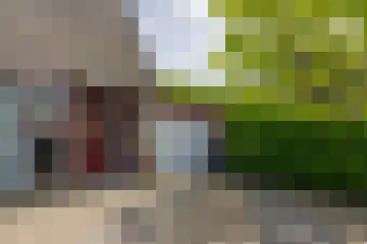 Van Gaesbeekstraat 29 Strijen thumbnail 39