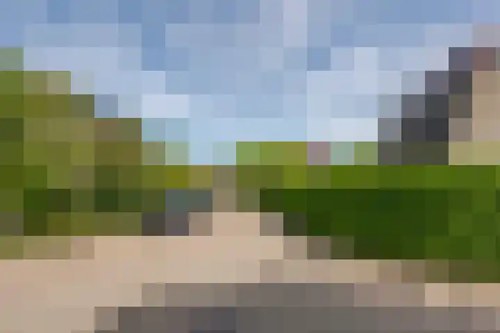 Van Gaesbeekstraat 29 Strijen thumbnail 40