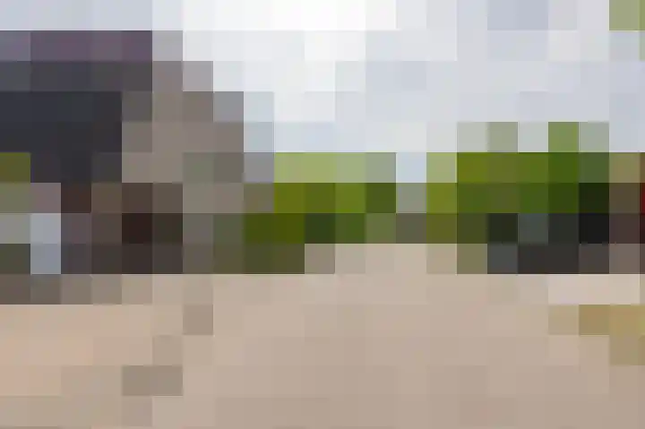 Van Gaesbeekstraat 29 Strijen thumbnail 42