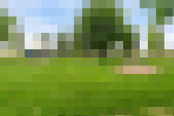 Van Gaesbeekstraat 29 Strijen thumbnail 43