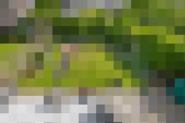 Van Gaesbeekstraat 29 Strijen thumbnail 5