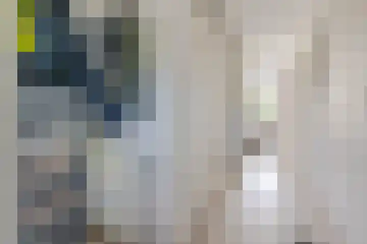 Van Gaesbeekstraat 29 Strijen thumbnail 6