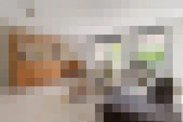 Van Gaesbeekstraat 29 Strijen thumbnail 9