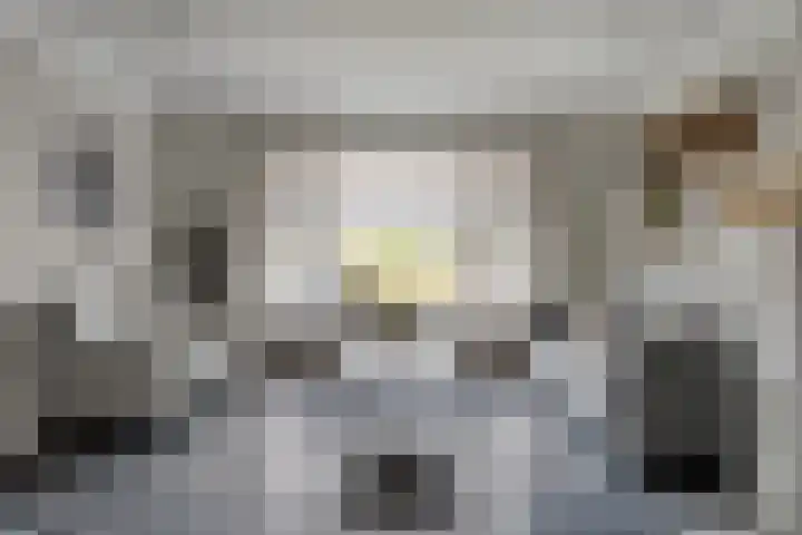 van Gaesbeekstraat 8 Goudswaard thumbnail 10
