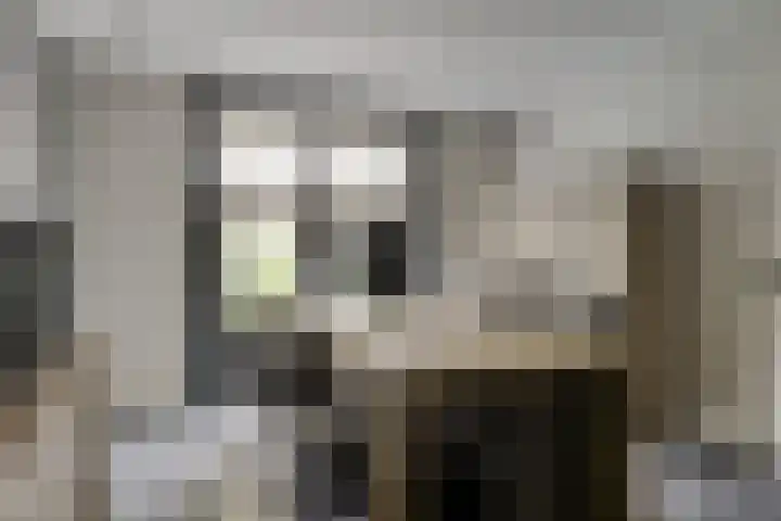 van Gaesbeekstraat 8 Goudswaard thumbnail 17
