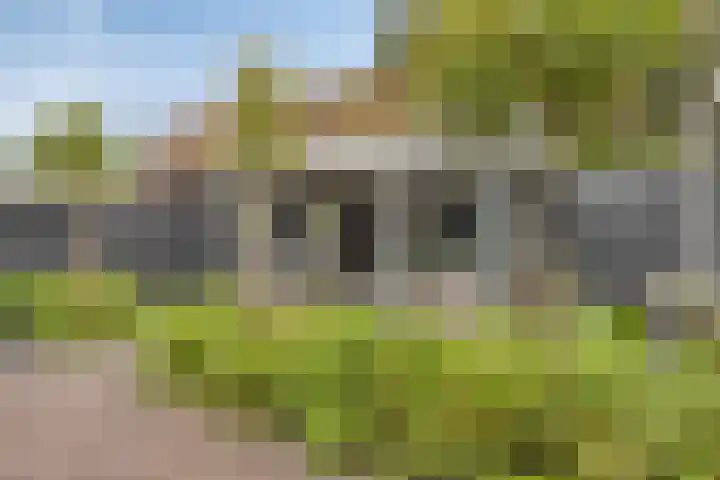 van Gaesbeekstraat 8 Goudswaard thumbnail 32