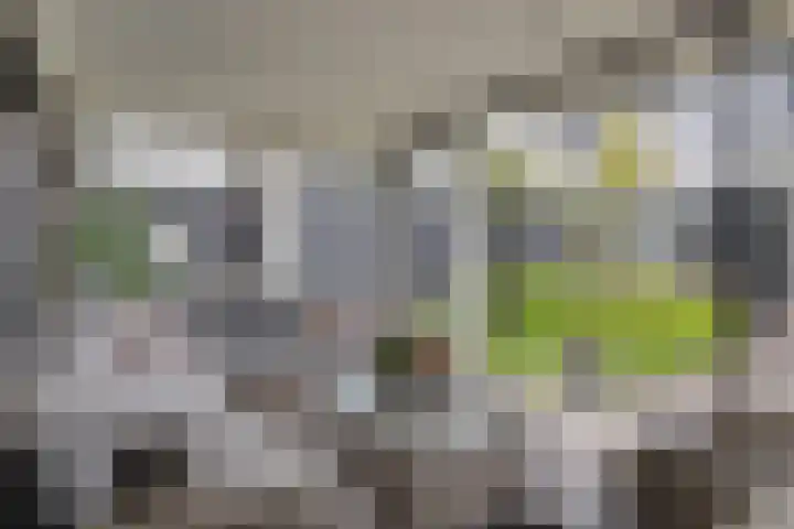van Gaesbeekstraat 8 Goudswaard thumbnail 35