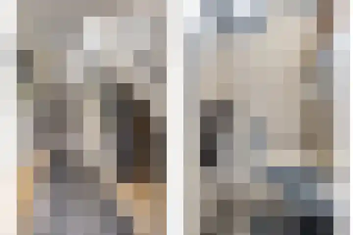 van Gaesbeekstraat 8 Goudswaard thumbnail 4