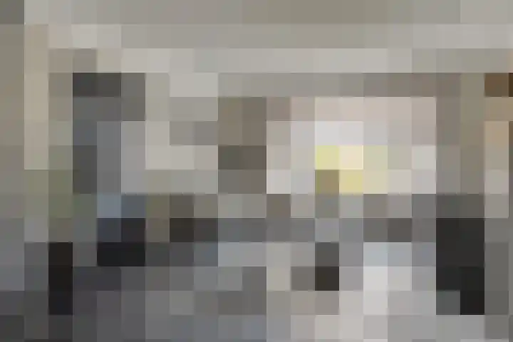van Gaesbeekstraat 8 Goudswaard thumbnail 9