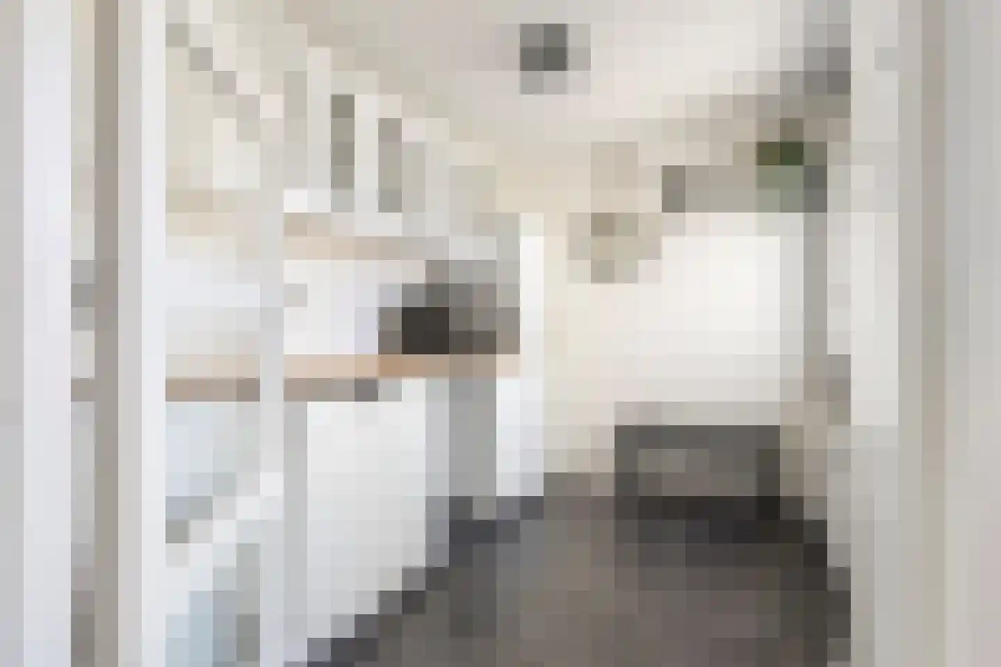 van Gaesbeekstraat 9 Westmaas thumbnail 14