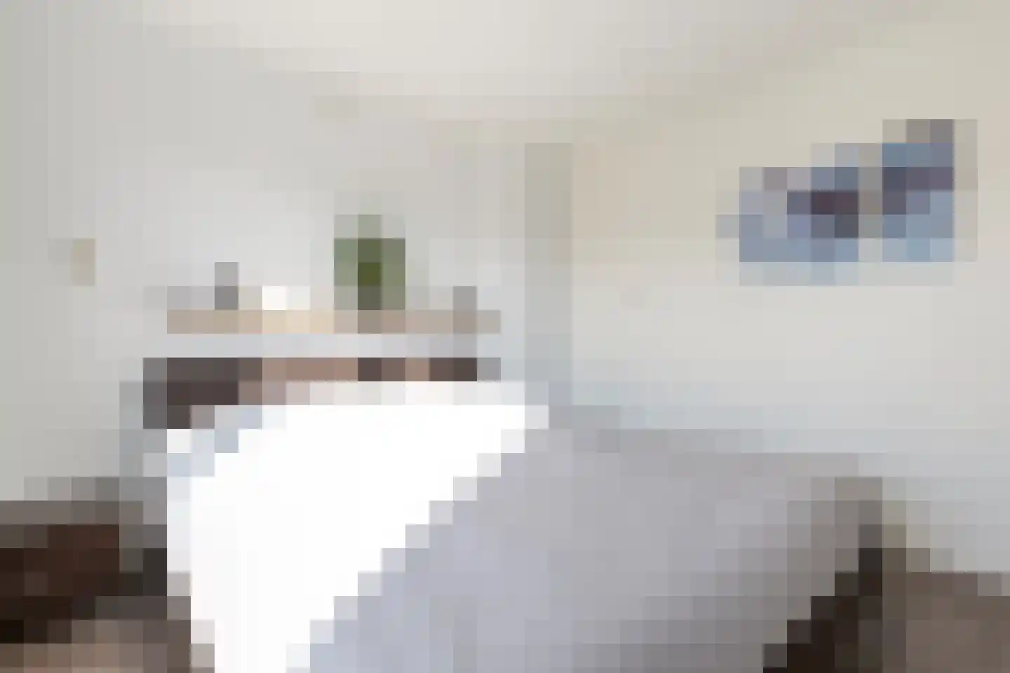 van Gaesbeekstraat 9 Westmaas thumbnail 17