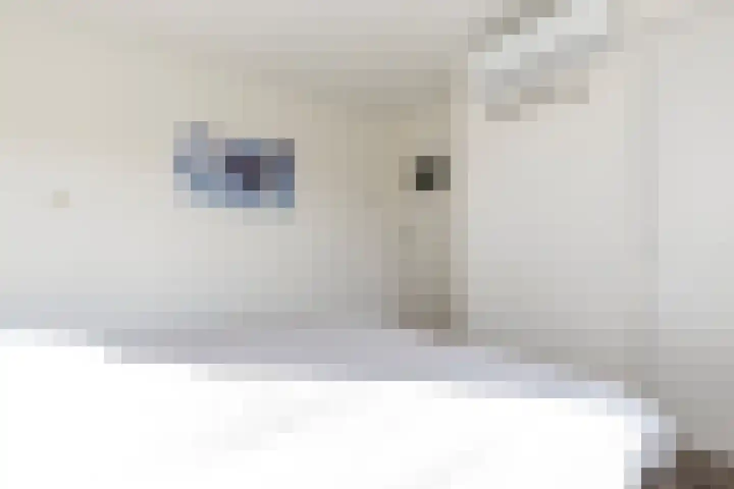 van Gaesbeekstraat 9 Westmaas thumbnail 18