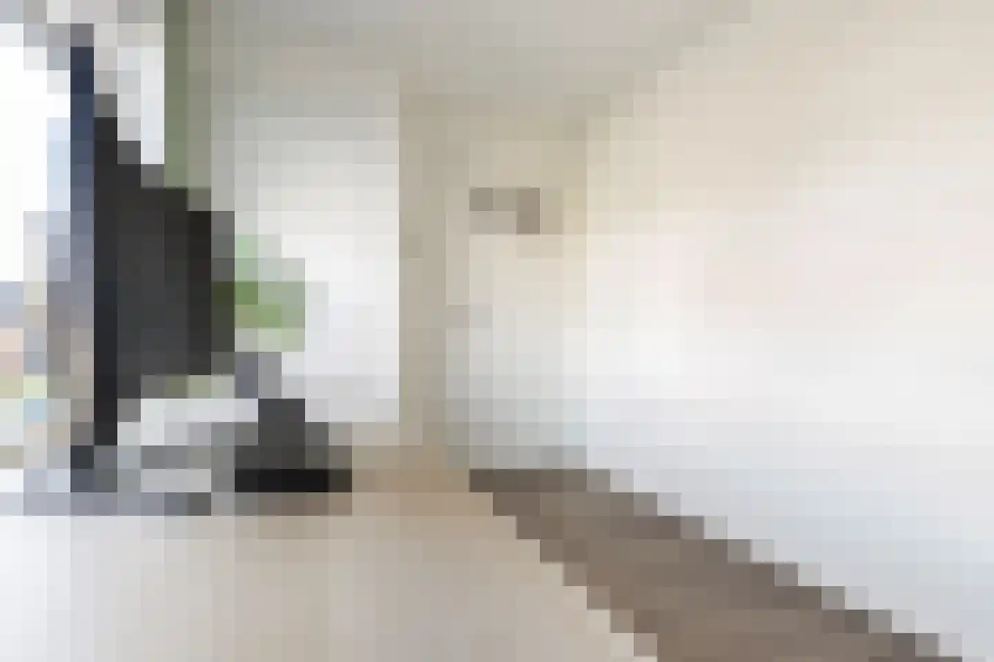 van Gaesbeekstraat 9 Westmaas thumbnail 20