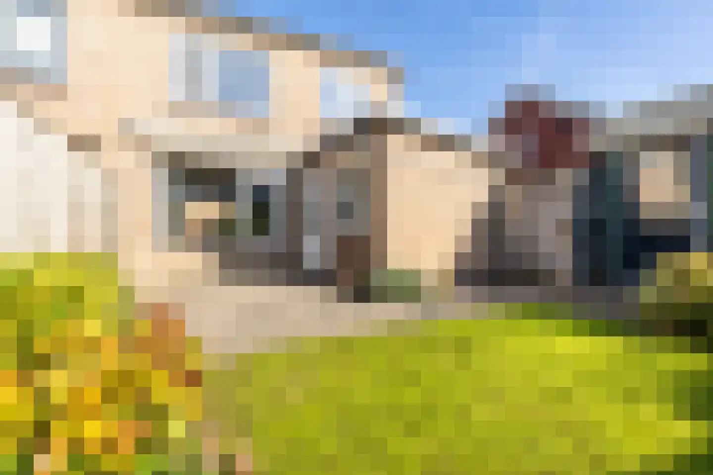 van Gaesbeekstraat 9 Westmaas thumbnail 27