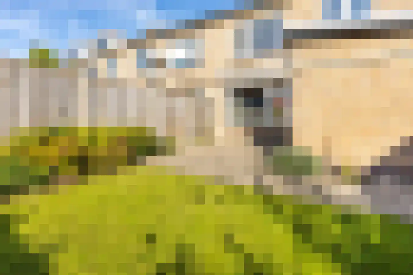 van Gaesbeekstraat 9 Westmaas thumbnail 28