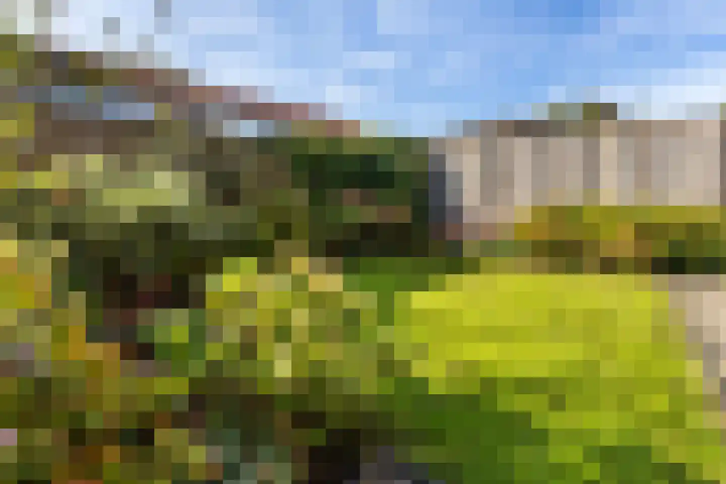 van Gaesbeekstraat 9 Westmaas thumbnail 29