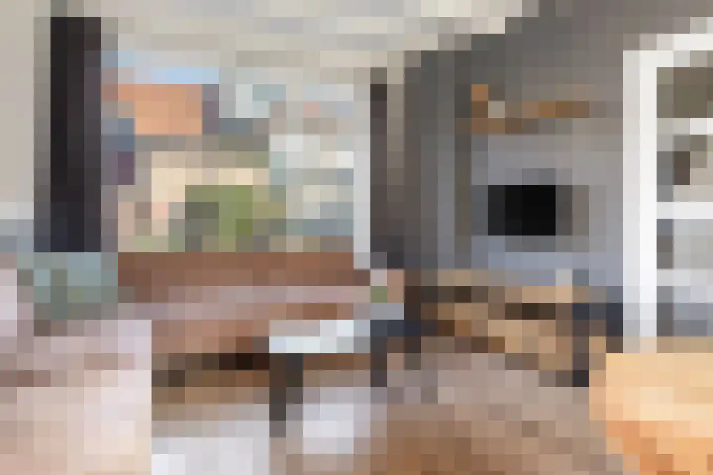 van Gaesbeekstraat 9 Westmaas thumbnail 7