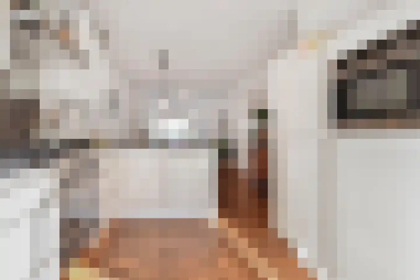 van Gaesbekestraat 11 Voorburg thumbnail 16