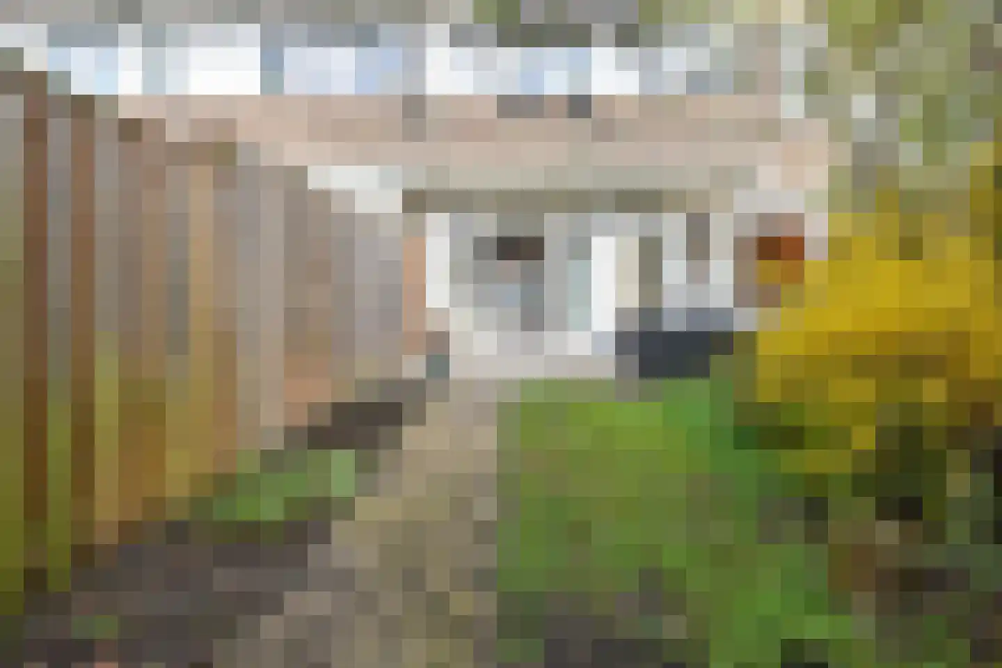 van Gaesbekestraat 11 Voorburg thumbnail 29