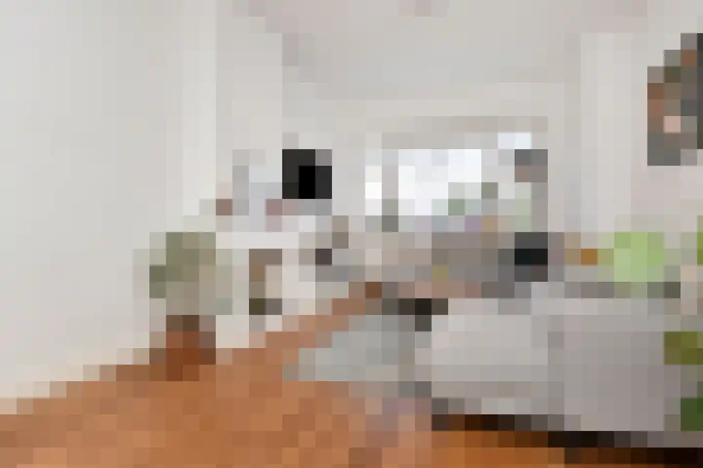 van Gaesbekestraat 11 Voorburg thumbnail 9