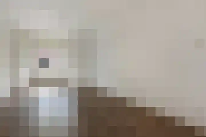 van Gaesbekestraat 16 Voorburg thumbnail 5
