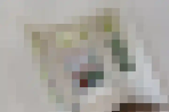 van Gaesbekestraat 16 Voorburg thumbnail 6