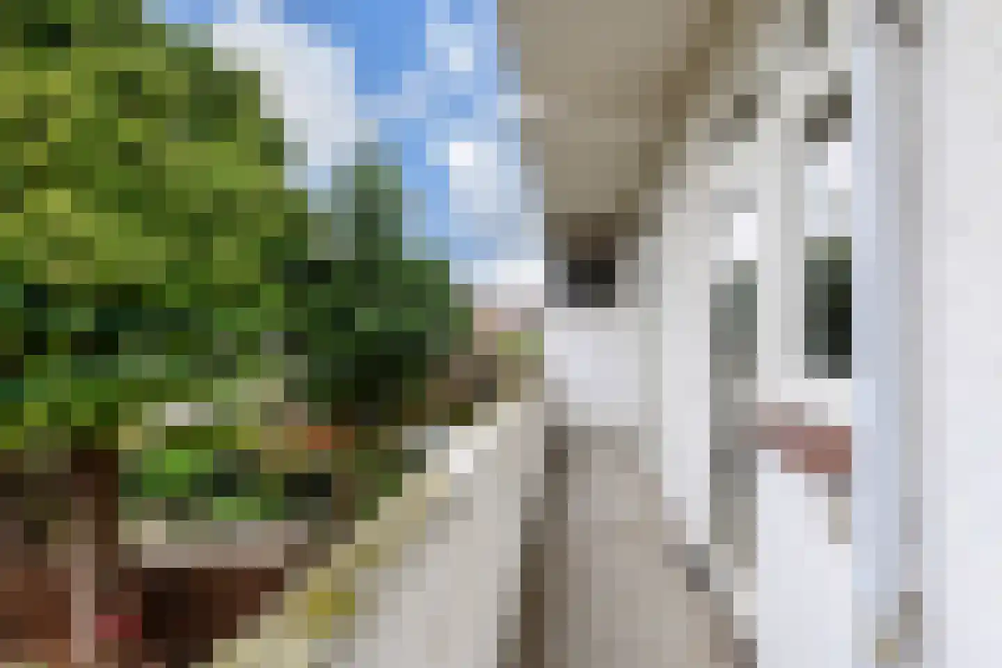 van Gaesbekestraat 57 Voorburg thumbnail 13