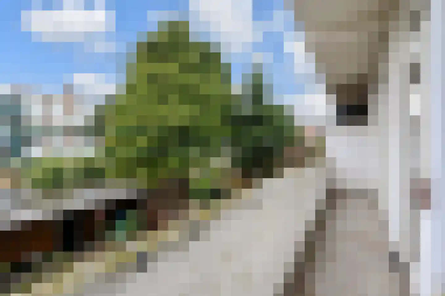 van Gaesbekestraat 57 Voorburg thumbnail 9