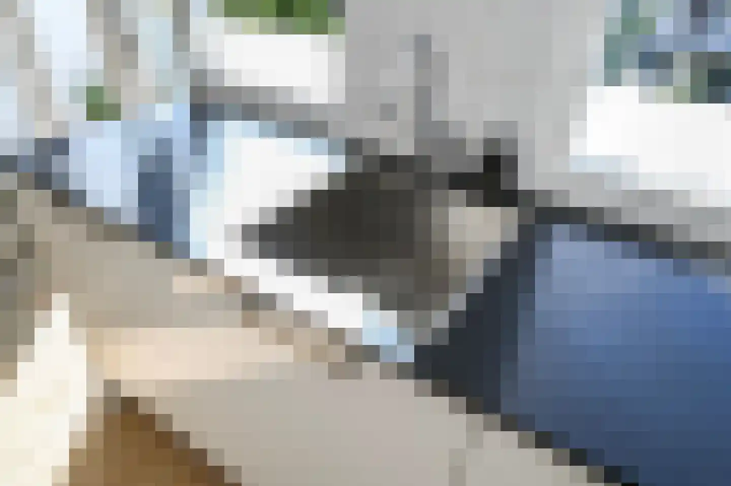 van Gaesbekestraat 65 Voorburg thumbnail 24