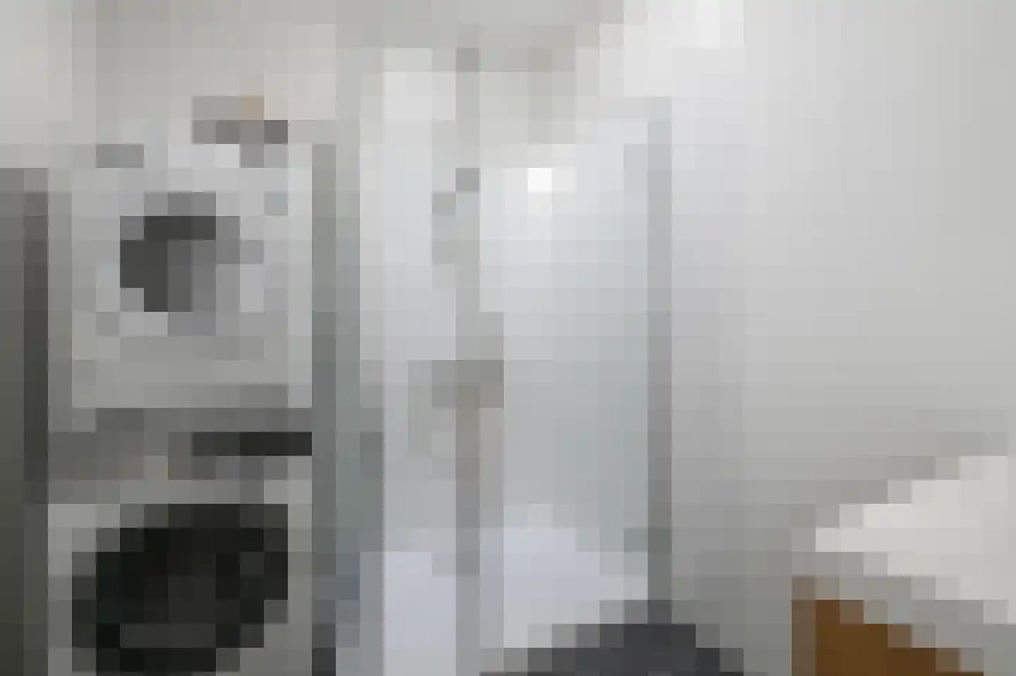 van Gaesbekestraat 65 Voorburg thumbnail 36