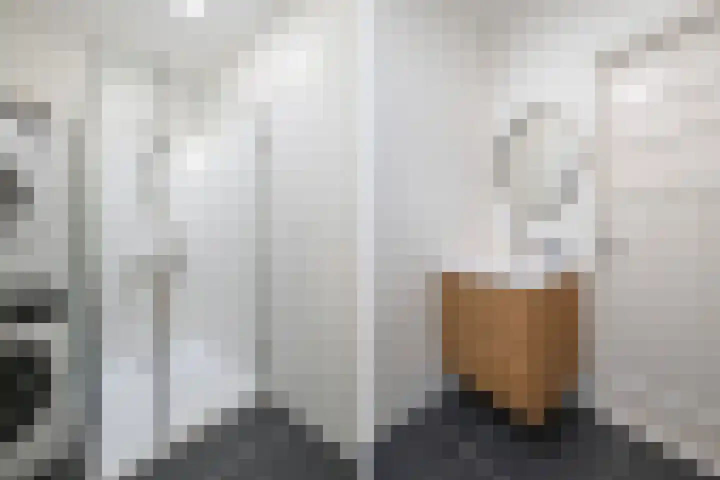van Gaesbekestraat 65 Voorburg thumbnail 39