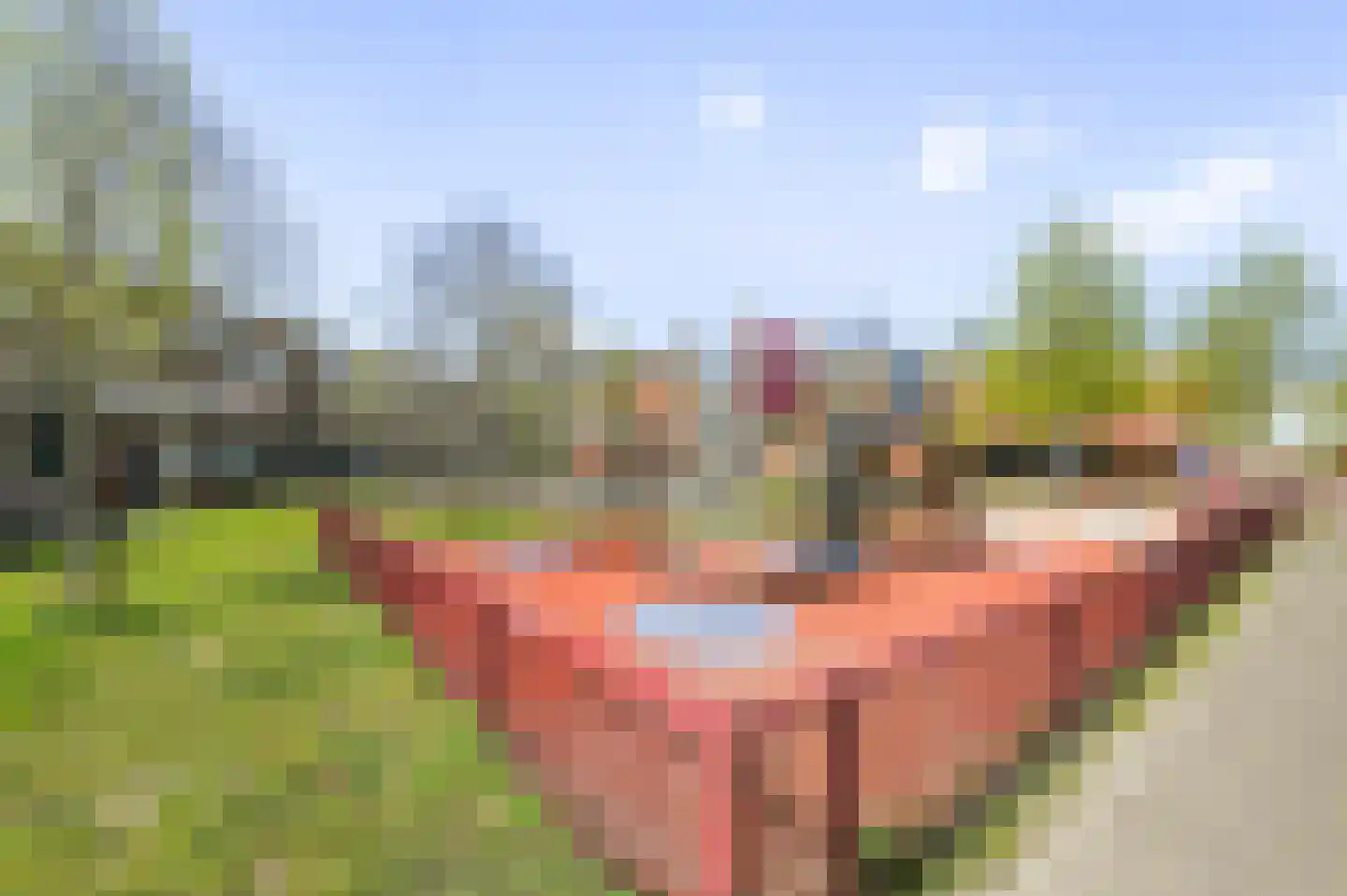 van Gaesbekestraat 65 Voorburg thumbnail 42