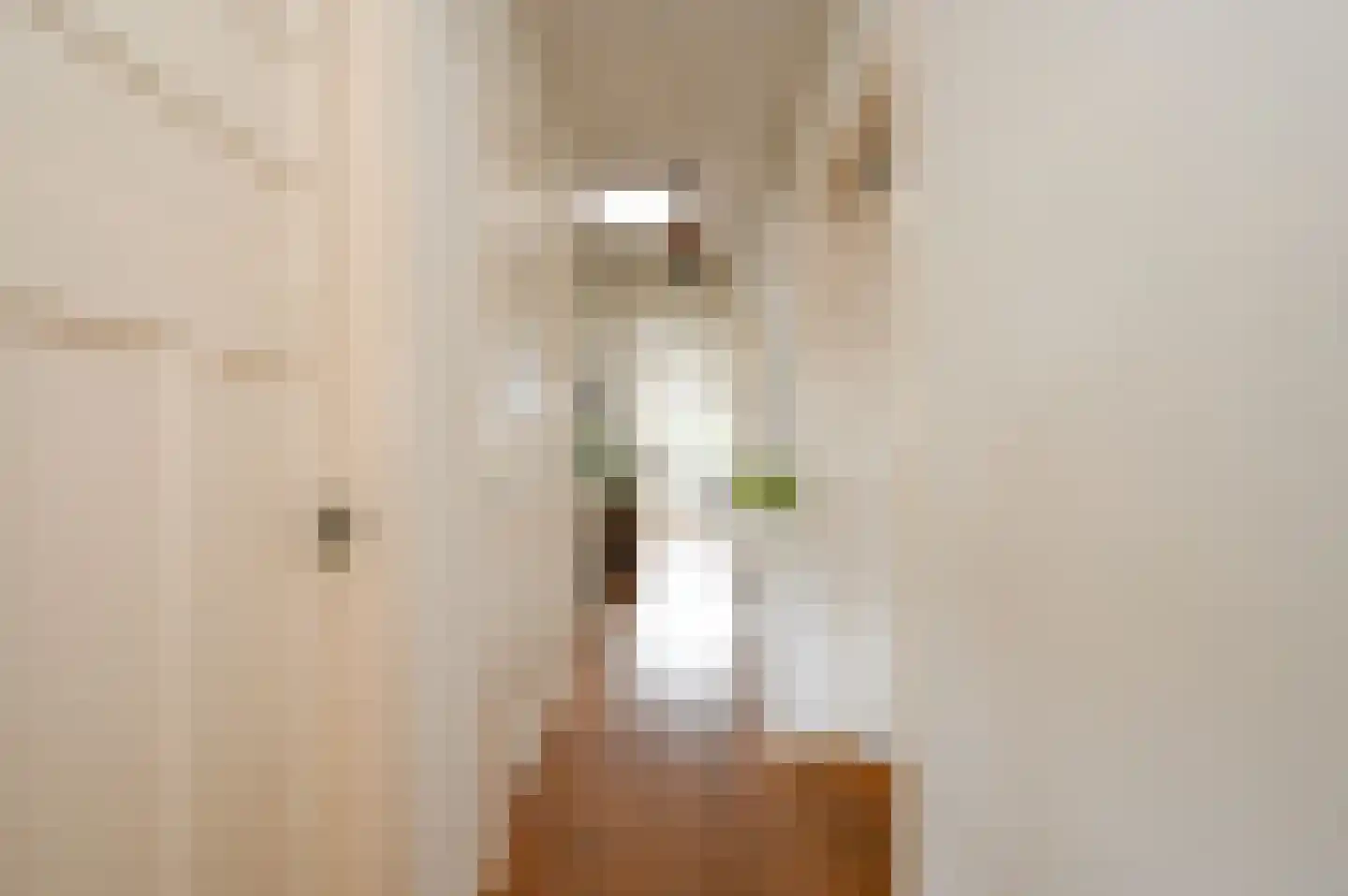 van Gaesbekestraat 67 Voorburg thumbnail 11